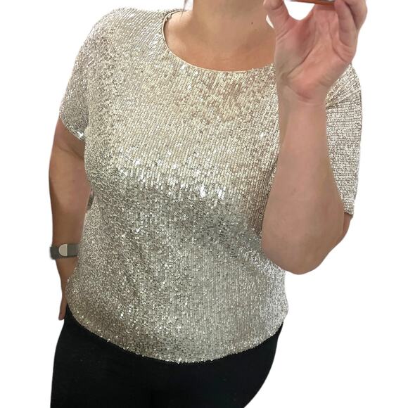 H&M SMALL Sparkly Straight Cut Sequined Mesh Short Sleeve Top Blouse Tee - Picture 2 of 13